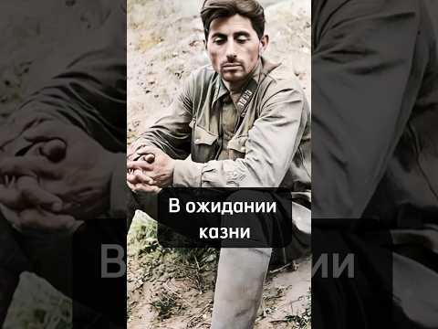 За 10 минут до расстрела