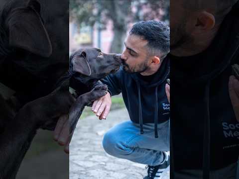Ho incontrato un cagnolino che ti offre la birra - Choco