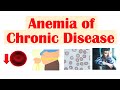 Anemia of Chronic Disease Overview