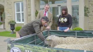WHO DOESN’T LIKE SHEEP? | RISHI SUNAK