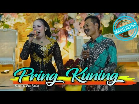 PRING KUNING cokek sragen terbaru Karawitan Madu Retno Berkah Mulya Audio