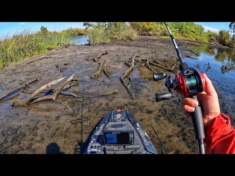 Surprising bite at a weird tide (+new confidence bait)