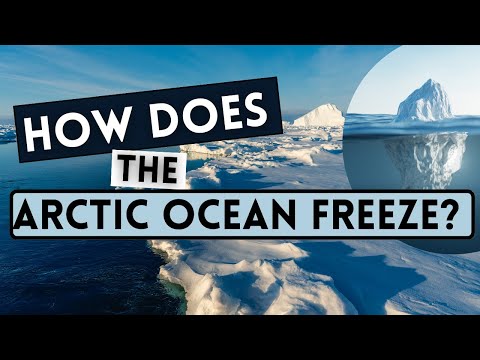 How Does The Arctic Ocean Freeze? | Environment