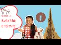 Exploring the World of Termites