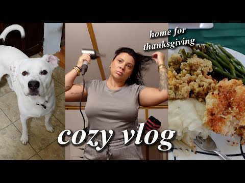 Cleaning, cooking comfort food & going to PA for Thanksgiving // Cozy week in my life vlog