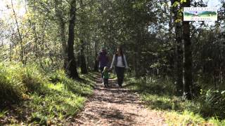 Grassau und Rottau im Chiemgau
