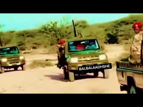 #Ciidamada Qaranka Somaliland ee jidaha hore ee Ceerigaabo Marwalba wa diyaar difaca dalka barkaysan
