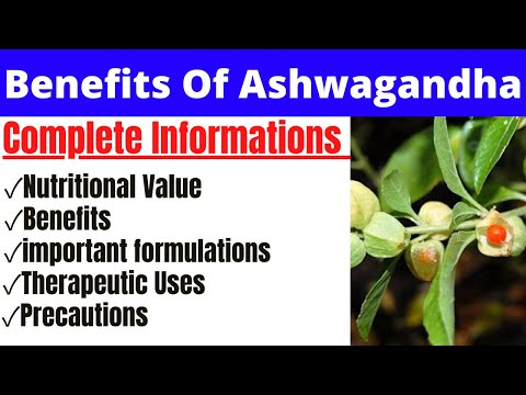 Ashwagandha|| Benifits for men|| #ayurvidyaa #ashwagandha
