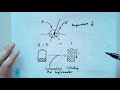 Exploring Endothermic and Exothermic Reactions