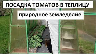 видео