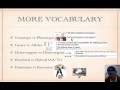 Genetics Vocabulary Mastery