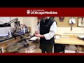 Tiktaalik Rosia's Evolutionary Significance