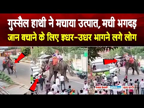 जब गुस्सैल हाथी ने मचाया उत्पात, मची भगदड़, जान बचाने के लिए इधर-उधर भागने लगे लोग