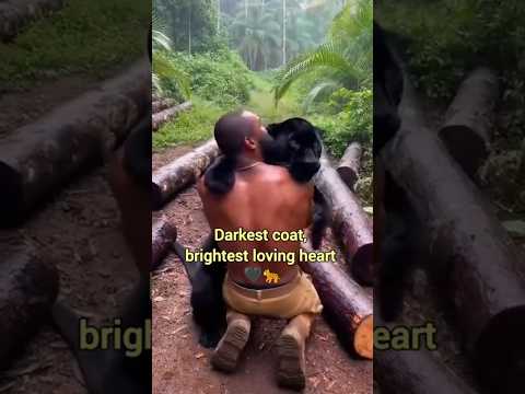 What Happens When The Emotional Wild Animals See You