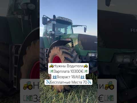 ПИШИТЕ ++ В КОММЕНТАРИИ #вакансии #работа