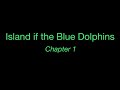 Understanding Key Events in 'Island of the Blue Dolphins'