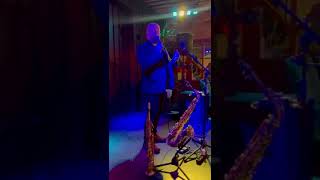 Fly Me To The Moon - Frank Sinatra - cover by Pavol Hoda - saxophonist, singer