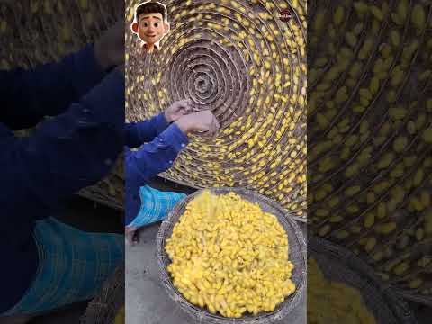 كيف تتم صناعة الحرير الطبيعي؟