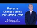 Cardiac Cycle and Heart Function