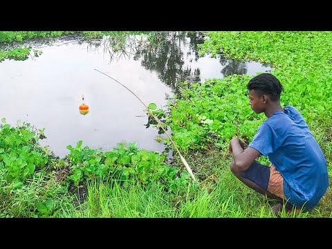 Fishing Video || If you learn fishing from village boy, you will be able to catch fish very easily.