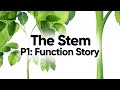 Plant Functions and Experimentation
