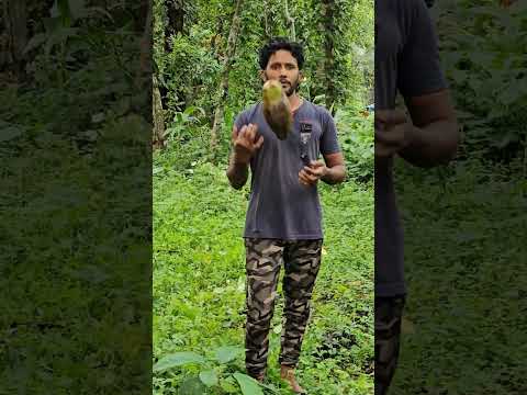 പുലർച്ചെ കൂൺ തപ്പാൻ തൊടിയിലേക്കിറങ്ങിയപ്പോൾ കണ്ട കാഴ്ച 🤩🔥
