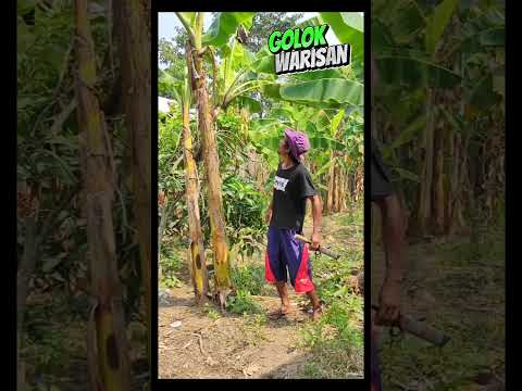 Uji kemampuan #komedi