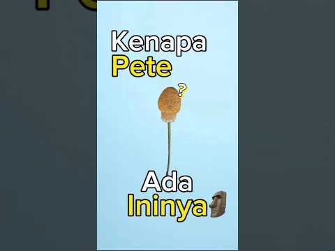 Kenapa Pohon Pete Ada Microphonenya?๐ค๐ซ๐ฑ