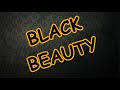 Black Beauty: Themes and Events