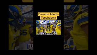 Davante Adams Touchdown #nfl #touchdown