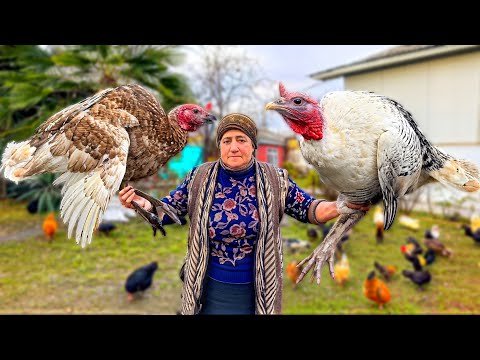 The Magic of Winter: New Year Celebrations in a Snowy Village