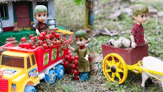 Miniature Tomato Egg Cooking Videos | Tiny Cooking | Mini Food Cooking