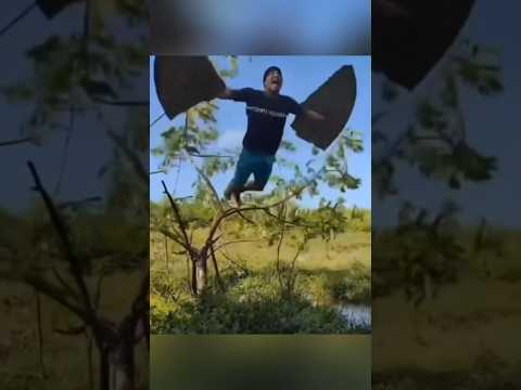 😳 Can anyone tell me What kind of bird 🐧 is this…😰⁉️#shorts #youtubeshorts #shortsfeed