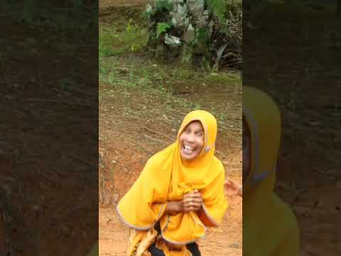 kumpulan video lucu #comedy