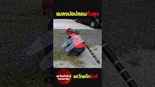 แมลงปอปลอมกันยุง #แสว๊กแก๊กนิวส์