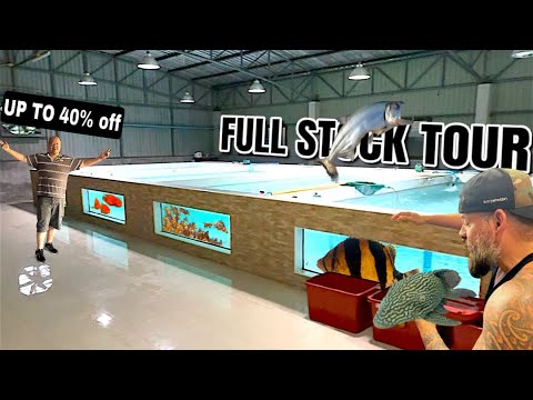 “We Have SO MANY Amazing Fish in Stock! (Full Tour Inside)”