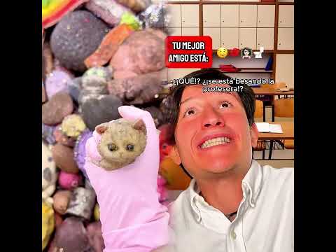 MI MEJOR AMIGO DESAPARECIÓ 😓 Fabru Blacutt