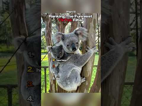 Ranking the Funniest TikTok Filter (Part 5)
