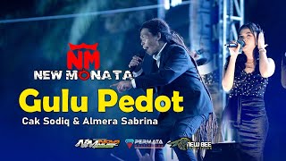 GULU PEDOT - CAK SODIQ & ALMERA SABRINA - NEW MONATA LIVE PESISIR SELATAN SUMATERA BARAT