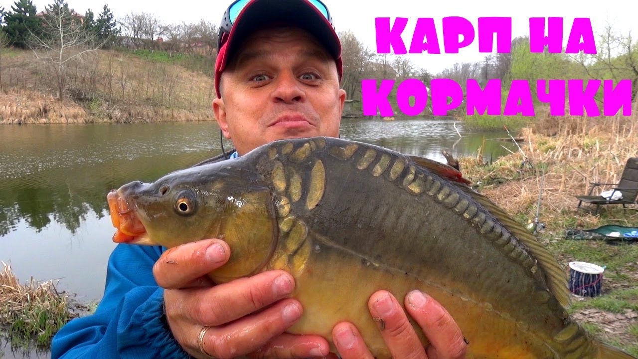 Весенний карп на УБИЙЦУ КАРАСЯ Ловлю карпов с рыбачкой Инной на кормачки