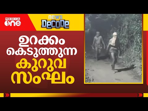 ഉറക്കം കെടുത്തുന്ന കുറുവ സംഘം | kuruva sangam | NewsDecode |