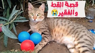 بزونه للبيع