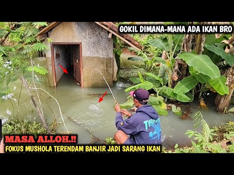 YA TUHAN.!! AKIBAT BANJIR BANDANG MUSHOLA JADI SARANG IKAN || PEMANCING PANEN STRIKE BRO