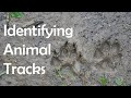 Identifying Animal Tracks and Features
