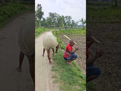 When the cow is on the road5