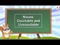 Nouns and Quantifiers Assessment