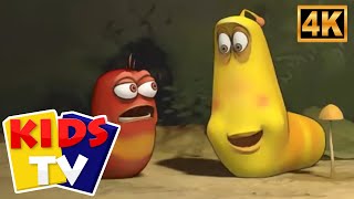 Larva - Cendawan Popular Video Kanak-kanak | Episod Kartun 3D