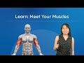 Exploring Muscle Groups for Physical Activity