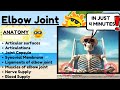 Elbow Joint Anatomy and Function