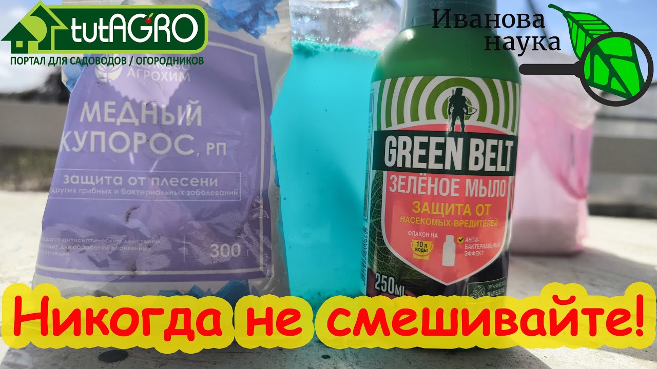 Разбор полётов 1. Поскользнулась на мыле: виктория из семян алтая испортила раствор купороса.